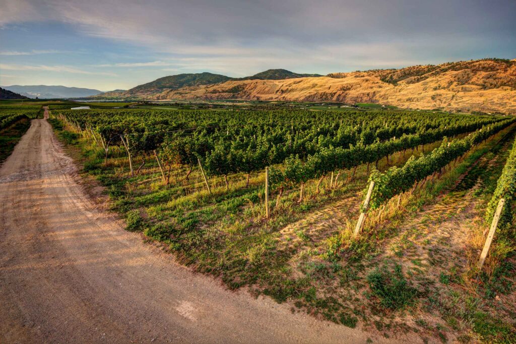 Oliver Osoyoos Wine Country