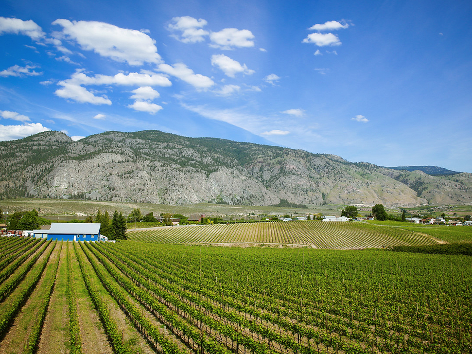 Terroir Talk #4 – Osoyoos West