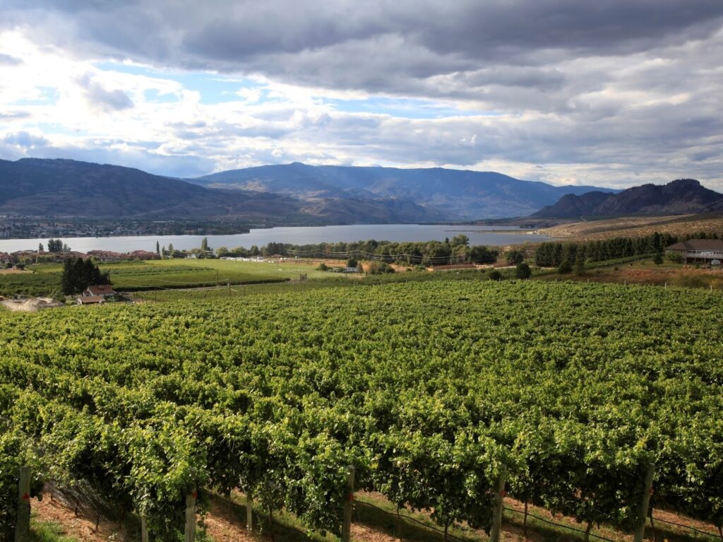 Terroir Talk #5 – Osoyoos East