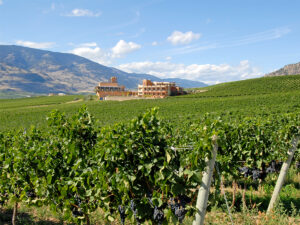 Burrowing Owl Estate Winery | Oliver Osoyoos Wine Country