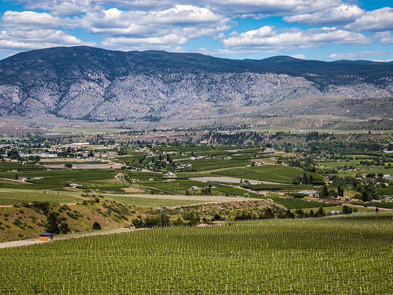 Hester Creek Estate Winery | Oliver Osoyoos Wine Country