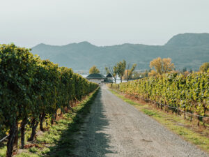 Lakeside Cellars | Oliver Osoyoos Wine Country