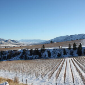 Winter in Wine Country | Oliver Osoyoos Wine Country