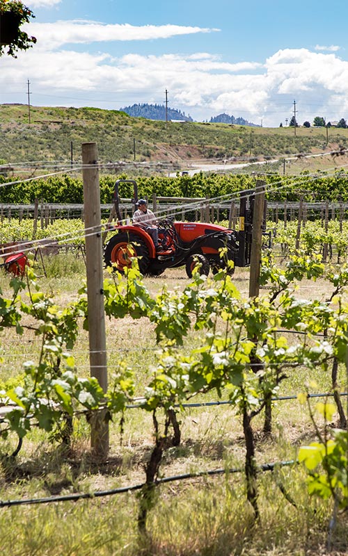 Oliver Osoyoos Wine Country History