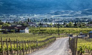 Oliver Osoyoos Wine Country