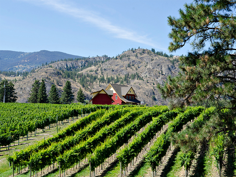 River Stone Estate Winery | Oliver Osoyoos Wine Country